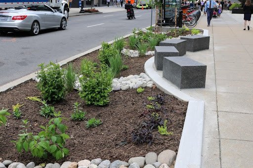 Bioretention Project