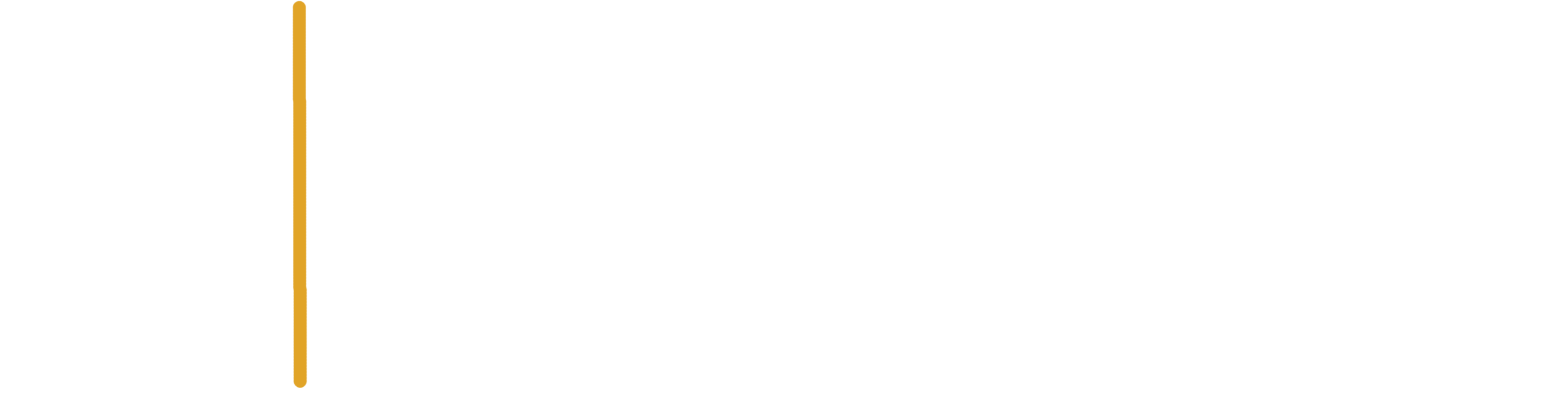 Alda Logo new design2a WHITE-yellow-line2